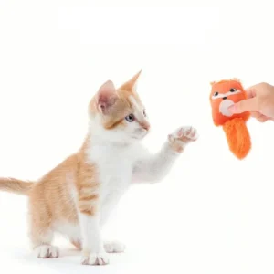 Cartoon fox shaped cat toy cute little raccoon