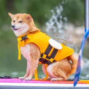 Dog Life Jacket Reflective Adjustable Dog Flotation Swim Vest