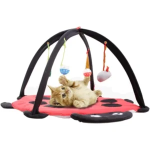 Cat Tent Activity Center with Hang Cat Toys