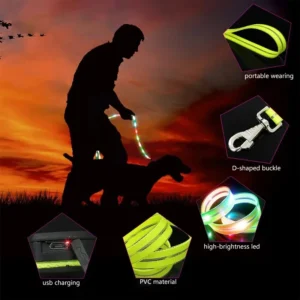 Led Light Up Dog Collar and Leash Walking Safety Glow in The Dark