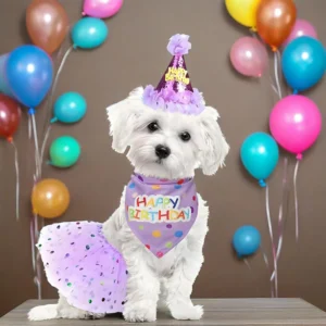 Cute Dog Birthday Costume Set Adorable Party Hat